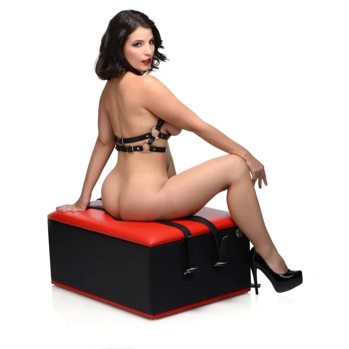 Male Sex Toys Master Series Master Series Queening Chair