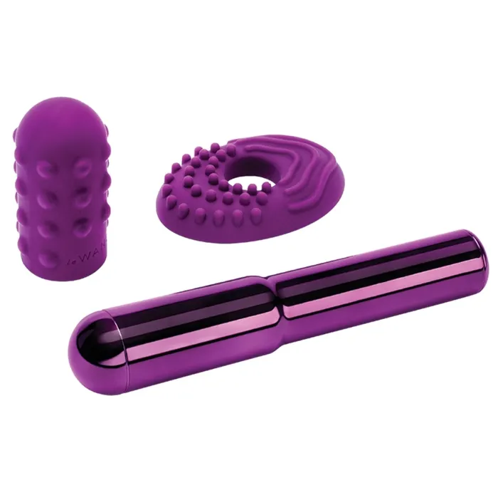 Chrome Grand Bullet Le Wand Female Sex Toys