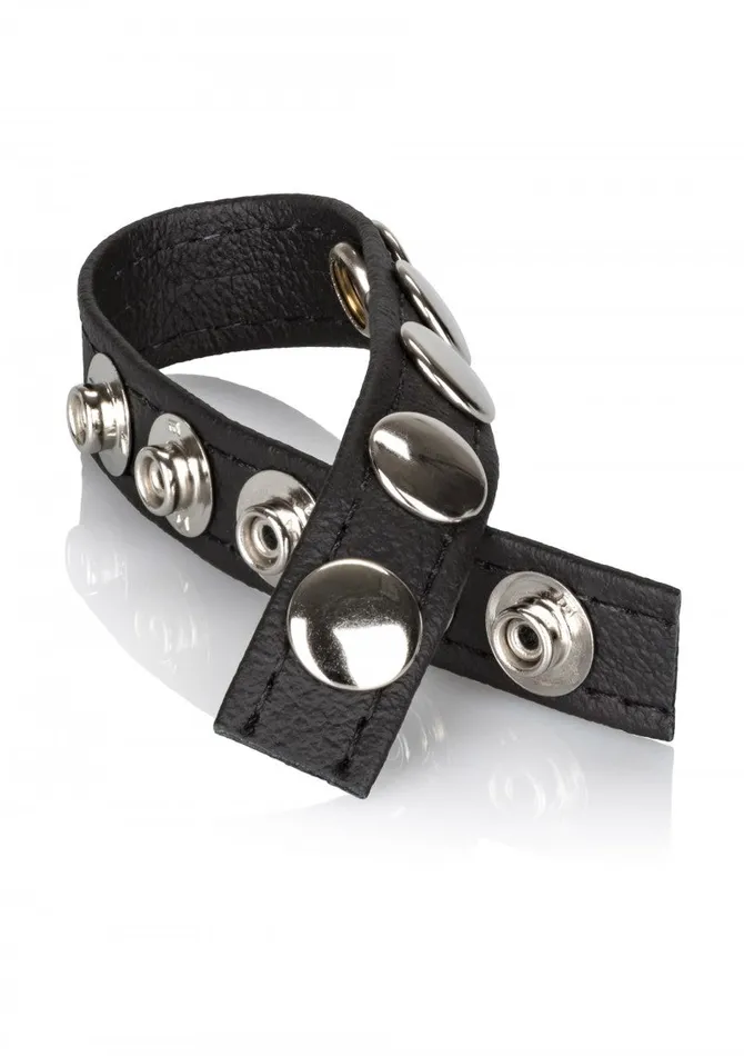 NNN Retail Ltd CalExotics Leather MultiSnap Ring Male Sex Toys